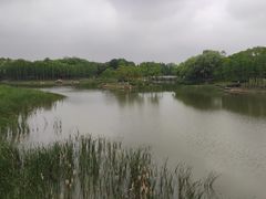 -新洲生态园