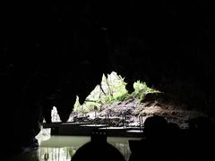 -怀托摩萤火虫洞