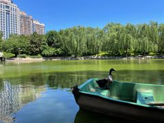 -团结湖公园