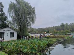 -溱湖国家湿地公园