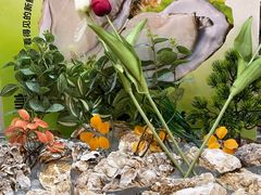 -涨巢·潮玩水疗局