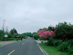-同里国家湿地公园