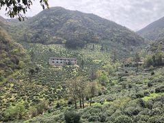-东白山