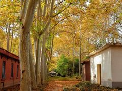 -河南省黄河迎宾馆