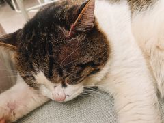 -UNI UNI(环亚凯瑟琳店)