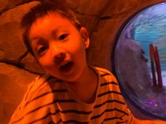 -沈阳海洋探索中心