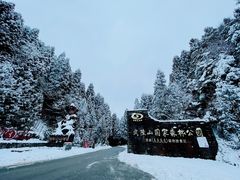 -武陵山森林公园