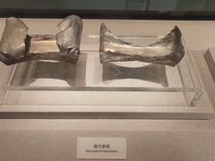 -中国钱币博物馆