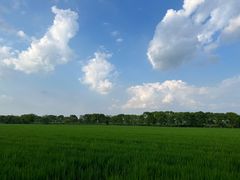 -嘉北郊野公园