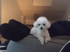 -多卡布奇宠物生活馆(上林世家店)