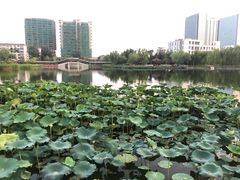 -西海子公园