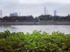 -黄埔古港