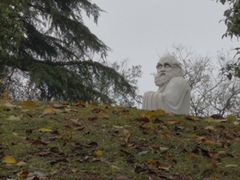 -太子山公园(园东路)