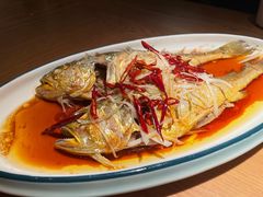 油泼黄花鱼-波螺油子·海肠捞饭·青岛菜(银座店)
