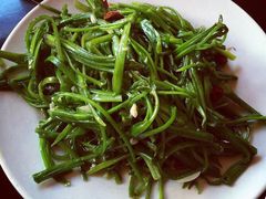 炒海菜-苍洱春饭店