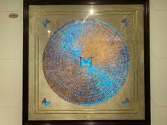 -上海昆虫博物馆