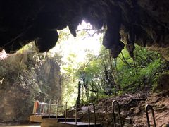 -怀托摩萤火虫洞