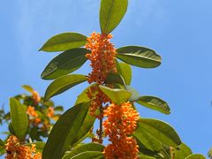 -重庆医科大学附属第一医院(金山院区)