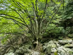 -萍乡武功山风景名胜区
