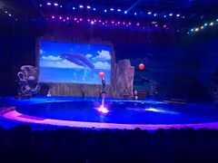 -华夏文旅海洋公园