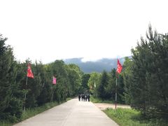 -凤凰山国家森林公园