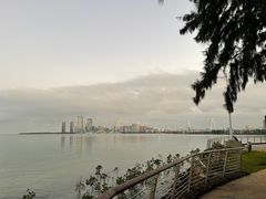 -万绿园