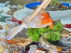 -渔娘渔家丹东海鲜(东直门店)