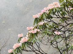 -九峰山