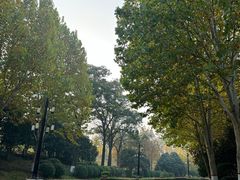 -思念果岭悦温泉