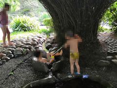 -成都市活水公园