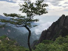 -黄山风景区