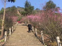 -天台山赤城山景区