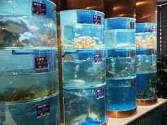 -香坝坝鲜鱼火锅(春熙路店)