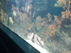 -苏州海洋馆