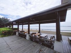 -大湾区中央湿地公园