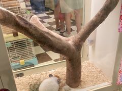 -龙猫仔乐园(惠福东路店)