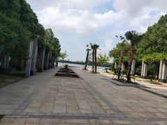 -暨阳湖生态园
