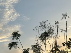 -立新湖公园