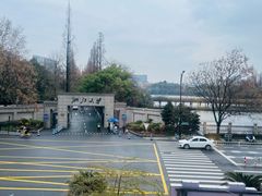 -绿雪芽白茶(浙大华家池校区凯旋路店)