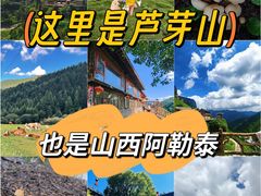 -芦芽山旅游度假区