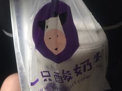 -一只酸奶牛(八一路店)