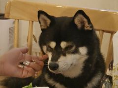 -柴の食堂·日式家庭料理·熊之肆(大学路店)