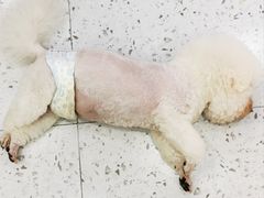 -喵园·猫主题咖啡厅·撸猫·猫咖(国贸店)