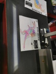 点击看大图 -恐龙探索乐园(磁器口店)