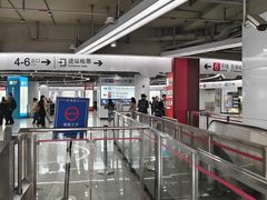 -东方体育中心(地铁站)