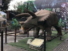 -重庆欢乐海底世界