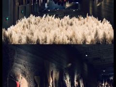 -無用生活空间(北京店)