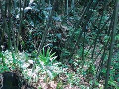 -幕燕滨江·长江观音景区