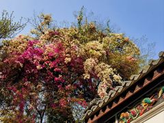 -深圳国际园林花卉博览园