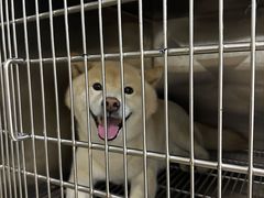 -佳雯宠物医院·皮肤科·内外科(春晓路分院)